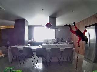 voyeurcam-casa-salsa-fishtank