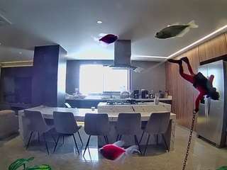 voyeurcam-casa-salsa-fishtank