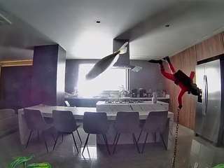 voyeurcam-casa-salsa-fishtank