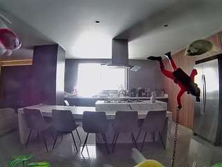 voyeurcam-casa-salsa-fishtank