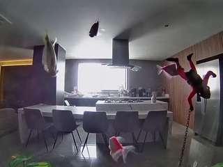 voyeurcam-casa-salsa-fishtank