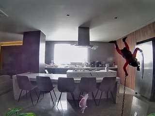 voyeurcam-casa-salsa-fishtank