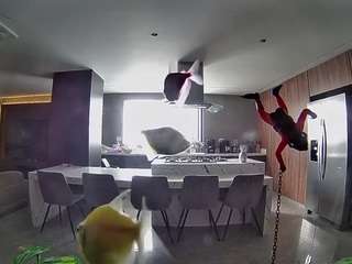 voyeurcam-casa-salsa-fishtank