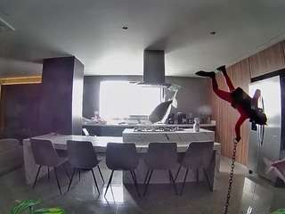 voyeurcam-casa-salsa-fishtank