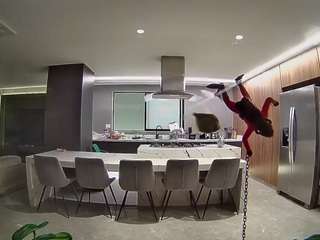 voyeurcam-casa-salsa-fishtank