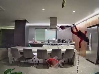 voyeurcam-casa-salsa-fishtank