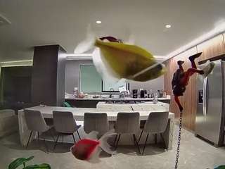 voyeurcam-casa-salsa-fishtank