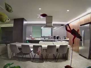 voyeurcam-casa-salsa-fishtank
