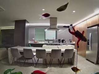 voyeurcam-casa-salsa-fishtank