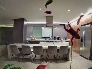 voyeurcam-casa-salsa-fishtank