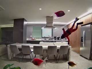 voyeurcam-casa-salsa-fishtank