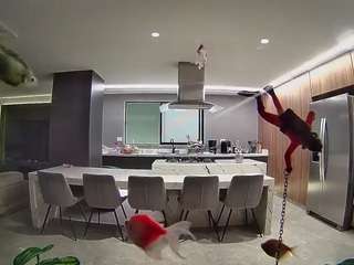 voyeurcam-casa-s... Live Webcam on CamSoda