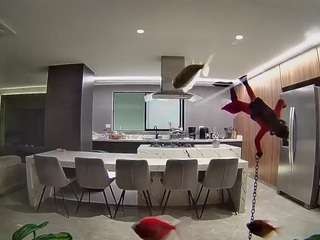 voyeurcam-casa-salsa-fishtank