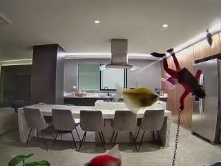 voyeurcam-casa-s... Live Webcam on CamSoda