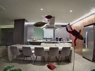 voyeurcam-casa-salsa-fishtank