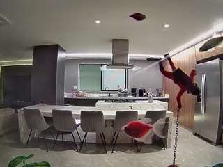 voyeurcam-casa-salsa-fishtank