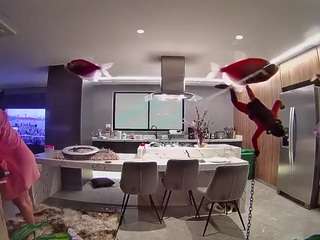 voyeurcam-casa-salsa-fishtank