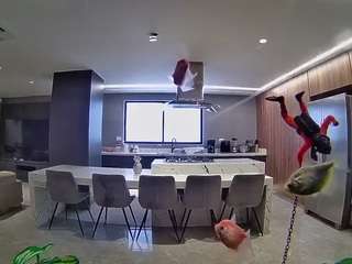 voyeurcam-casa-salsa-fishtank