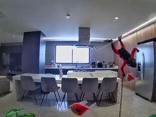voyeurcam-casa-salsa-fishtank