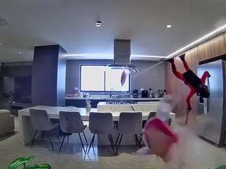 voyeurcam-casa-salsa-fishtank