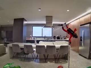 voyeurcam-casa-salsa-fishtank