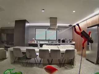 voyeurcam-casa-salsa-fishtank
