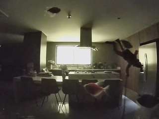 voyeurcam-casa-salsa-fishtank