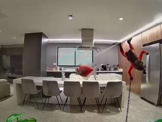 voyeurcam-casa-salsa-fishtank