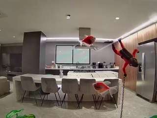 voyeurcam-casa-salsa-fishtank