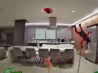voyeurcam-casa-salsa-fishtank