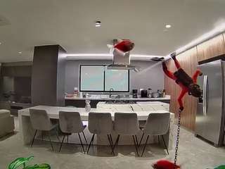 voyeurcam-casa-salsa-fishtank