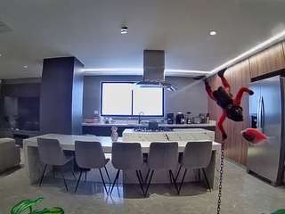 voyeurcam-casa-salsa-fishtank