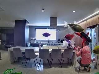 voyeurcam-casa-salsa-fishtank