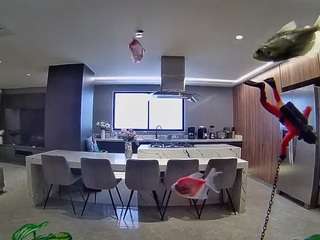 voyeurcam-casa-salsa-fishtank