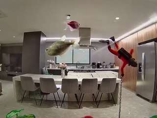 voyeurcam-casa-salsa-fishtank