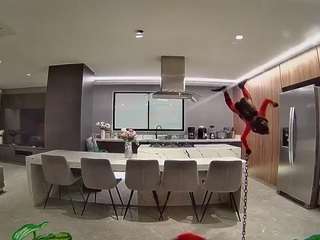 voyeurcam-casa-salsa-fishtank