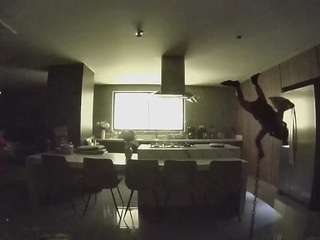 voyeurcam-casa-salsa-fishtank