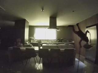 voyeurcam-casa-salsa-fishtank