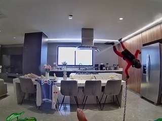 voyeurcam-casa-salsa-fishtank