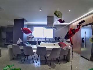 voyeurcam-casa-salsa-fishtank
