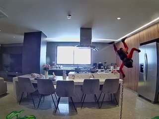 voyeurcam-casa-salsa-fishtank