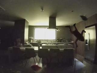 voyeurcam-casa-salsa-fishtank
