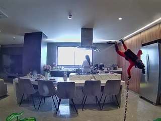 voyeurcam-casa-salsa-fishtank