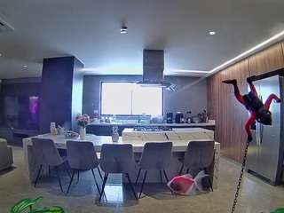 voyeurcam-casa-salsa-fishtank