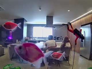 voyeurcam-casa-salsa-fishtank