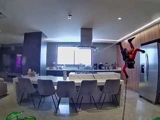 voyeurcam-casa-salsa-fishtank