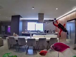 voyeurcam-casa-salsa-fishtank