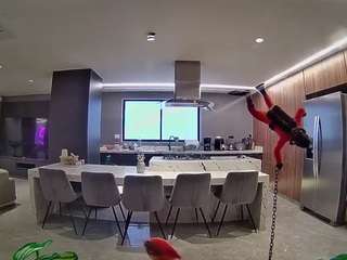voyeurcam-casa-salsa-fishtank