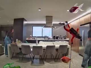 voyeurcam-casa-salsa-fishtank
