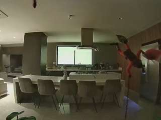 voyeurcam-casa-salsa-fishtank